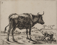 TvB G 0477
<br/>
Staande os bij een boomstronk
<br/>
<em>Bije, Marcus de (1639-ca. 1690)</em>
